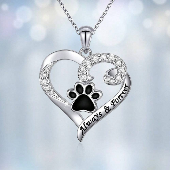 Delicate Heart & Dog Paw Necklace in Stainless Steel