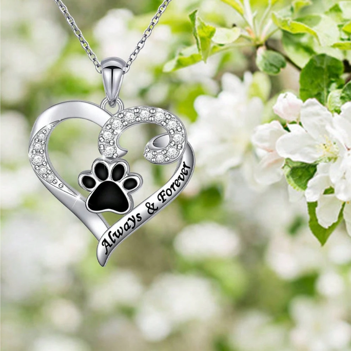 Delicate Heart & Dog Paw Necklace in Stainless Steel